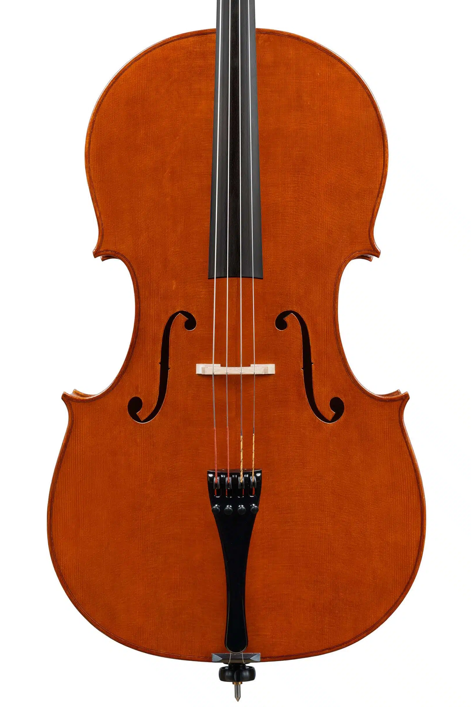 Riomaggiore Cello Inspired by G. B. Guadagnini Contemporary Style Iotti & Vibe