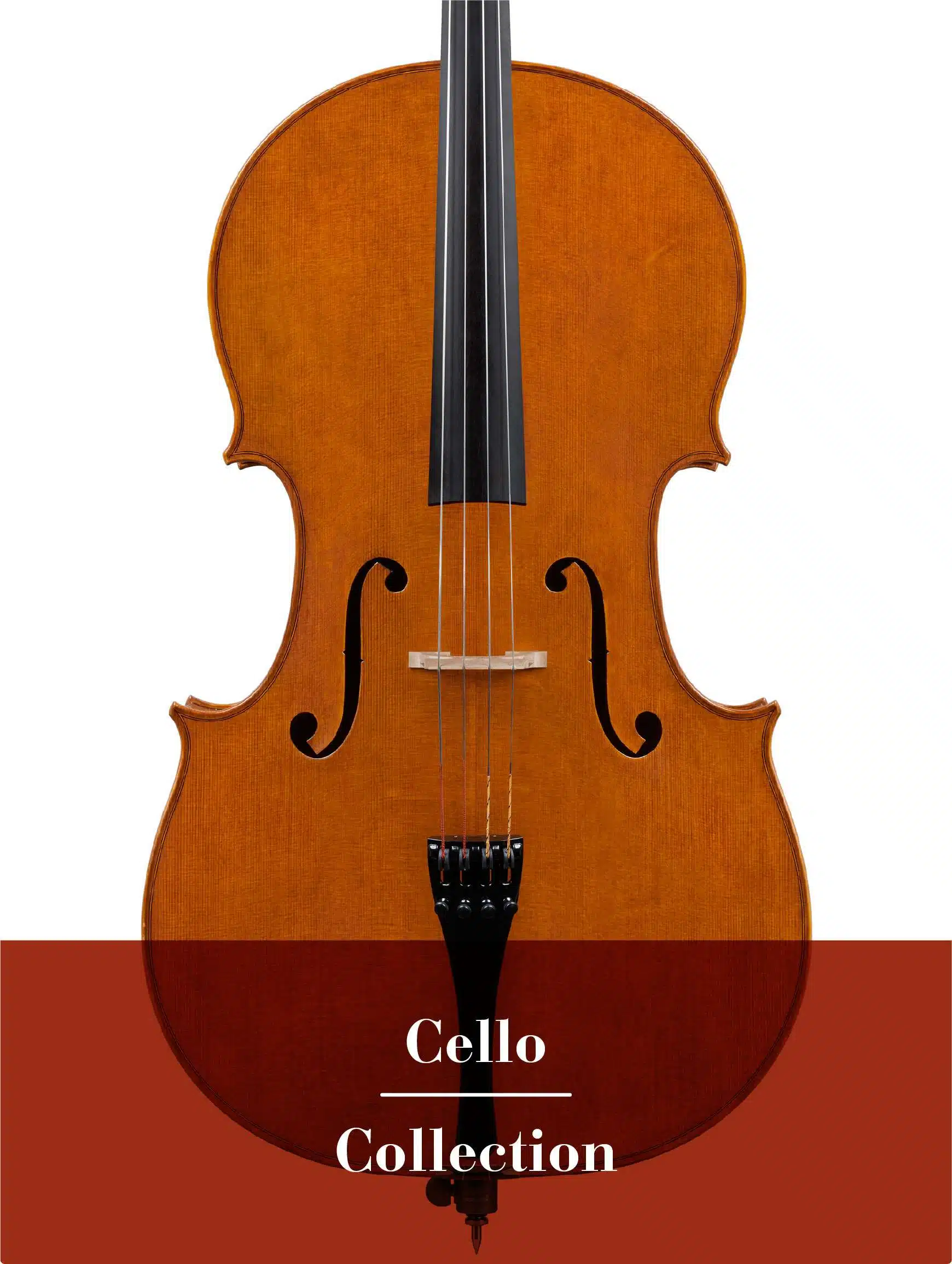 Fine Italian Violins, Violas & Cellos for Sale - Iotti Vibe